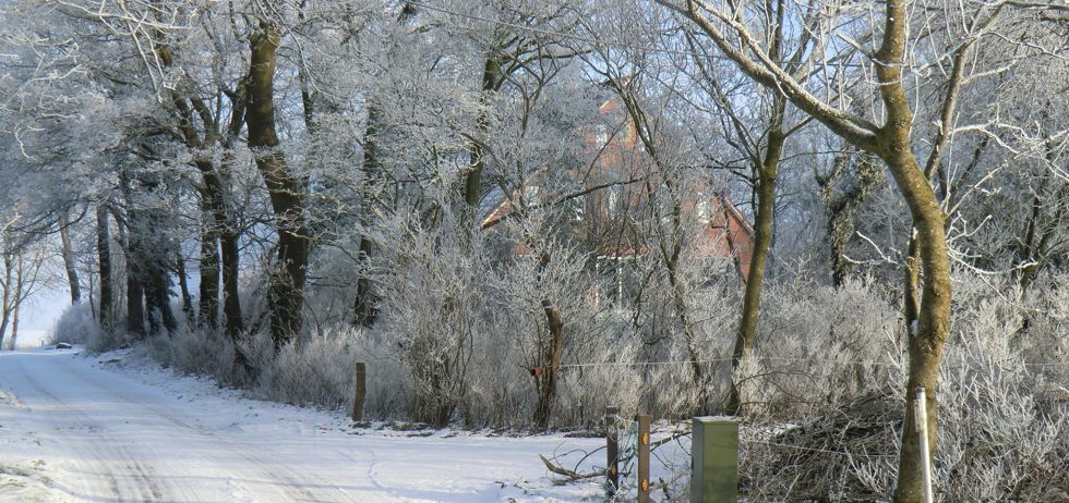 Winterimpressionen